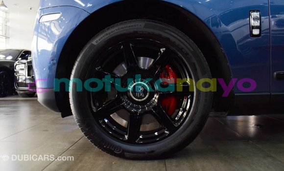 Buy Import Rolls-Royce Cullinan Blue Car in Import - Dubai in Bandundu Buy Import Rolls-Royce Cullinan Blue Car in Import - Dubai in Bandundu