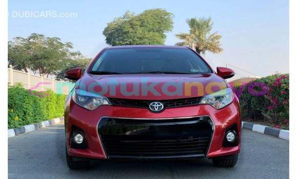 Buy Import Toyota Corolla Red Car in Import - Dubai in Bandundu Buy Import Toyota Corolla Red Car in Import - Dubai in Bandundu