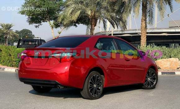 Buy Import Toyota Corolla Red Car in Import - Dubai in Bandundu Buy Import Toyota Corolla Red Car in Import - Dubai in Bandundu