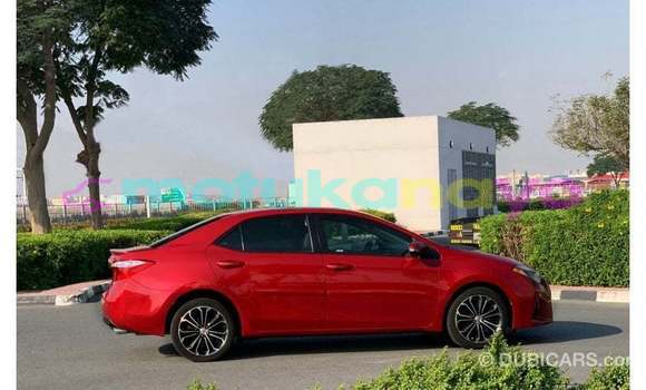 Buy Import Toyota Corolla Red Car in Import - Dubai in Bandundu Buy Import Toyota Corolla Red Car in Import - Dubai in Bandundu
