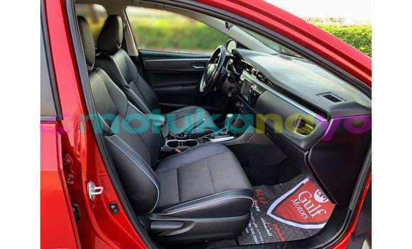 Buy Import Toyota Corolla Red Car in Import - Dubai in Bandundu Buy Import Toyota Corolla Red Car in Import - Dubai in Bandundu