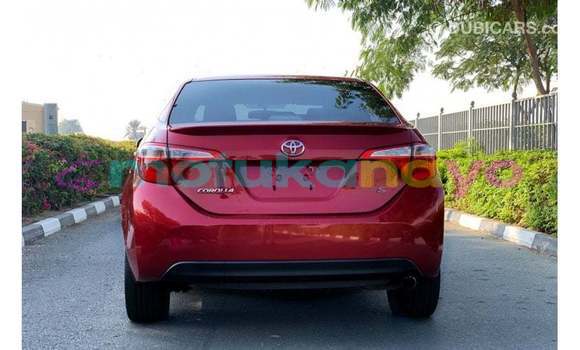 Acheter Import Voiture Toyota Corolla Rouge à Import - Dubai, Bandundu Acheter Import Voiture Toyota Corolla Rouge à Import - Dubai, Bandundu