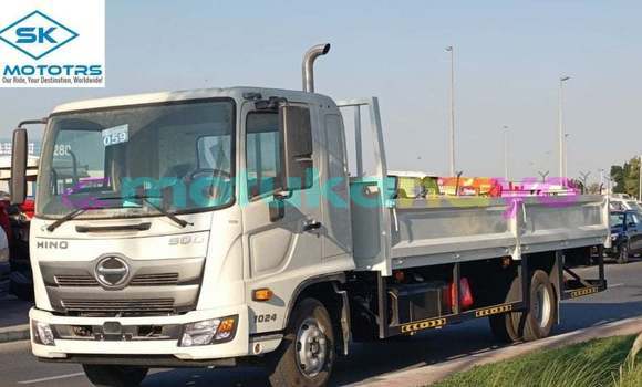 Acheter Import Utilitaire Hino 300 Series Blanc à Import - Dubai, Bandundu
