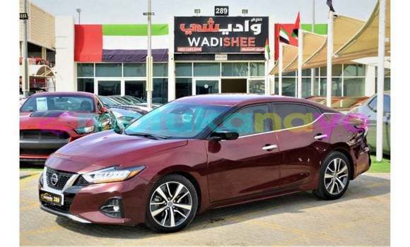 Buy Import Nissan Maxima Other Car in Import - Dubai in Bandundu
