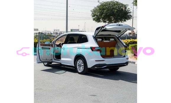 Buy Import Volkswagen TRUCK White Truck in Import - Dubai in Bandundu Buy Import Volkswagen TRUCK White Truck in Import - Dubai in Bandundu