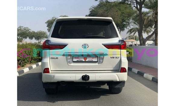 Buy Import Toyota Land Cruiser White Car in Import - Dubai in Bandundu Buy Import Toyota Land Cruiser White Car in Import - Dubai in Bandundu