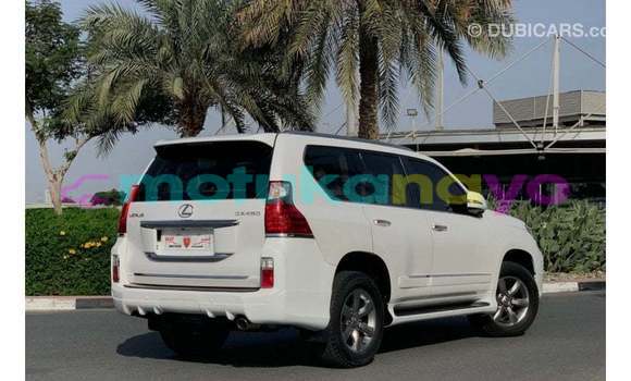 Acheter Import Voiture Lexus GX Blanc à Import - Dubai, Bandundu Acheter Import Voiture Lexus GX Blanc à Import - Dubai, Bandundu