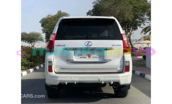 Acheter Import Voiture Lexus GX Blanc à Import - Dubai, Bandundu Acheter Import Voiture Lexus GX Blanc à Import - Dubai, Bandundu