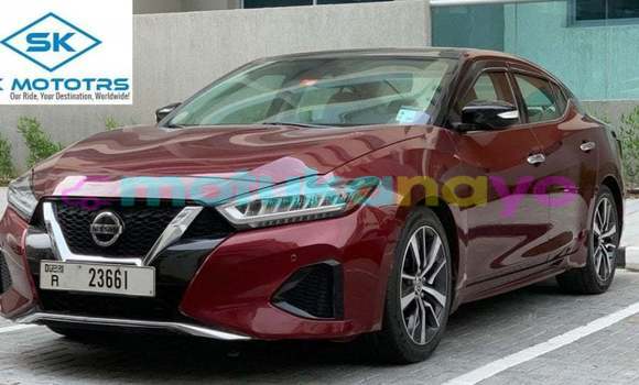 Buy Import Nissan Maxima Other Car in Import - Dubai in Bandundu