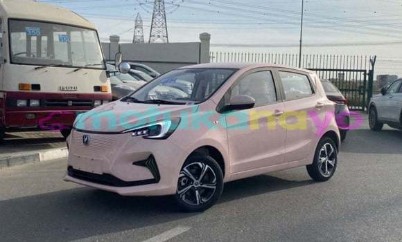 Buy Import Changan Benni Other Car in Import - Dubai in Bandundu Buy Import Changan Benni Other Car in Import - Dubai in Bandundu