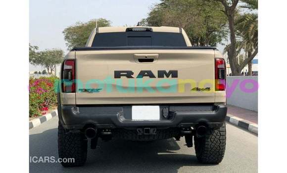 Buy Import Dodge RAM Beige Car in Import - Dubai in Bandundu Buy Import Dodge RAM Beige Car in Import - Dubai in Bandundu