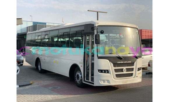 Buy Import Ashok Leyland PICK UP CARGO White Truck in Import - Dubai in Bandundu