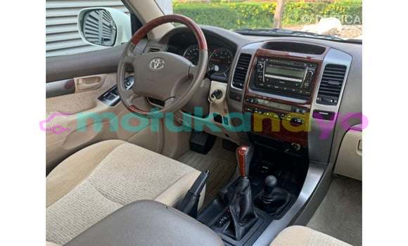 Acheter Import Voiture Toyota Prado Blanc à Import - Dubai, Bandundu Acheter Import Voiture Toyota Prado Blanc à Import - Dubai, Bandundu