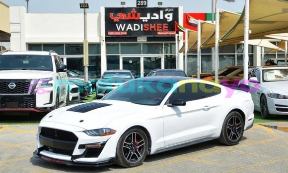 Acheter Import Voiture Ford Mustang Blanc à Import - Dubai, Bandundu