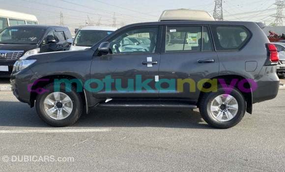 Buy Import Toyota Prado Other Car in Import - Dubai in Bandundu Buy Import Toyota Prado Other Car in Import - Dubai in Bandundu
