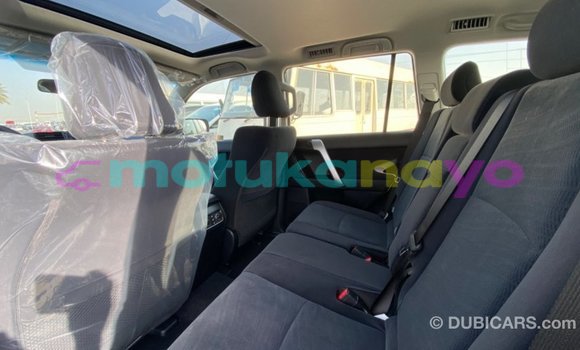 Buy Import Toyota Prado Other Car in Import - Dubai in Bandundu Buy Import Toyota Prado Other Car in Import - Dubai in Bandundu