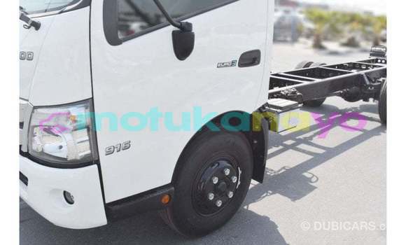 Buy Import Hino 300 Series White Truck in Import - Dubai in Bandundu Buy Import Hino 300 Series White Truck in Import - Dubai in Bandundu