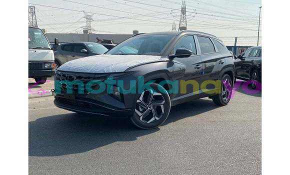 Buy Import Hyundai Tucson Other Car in Import - Dubai in Bandundu Buy Import Hyundai Tucson Other Car in Import - Dubai in Bandundu