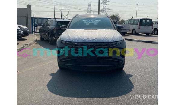Buy Import Hyundai Tucson Other Car in Import - Dubai in Bandundu Buy Import Hyundai Tucson Other Car in Import - Dubai in Bandundu