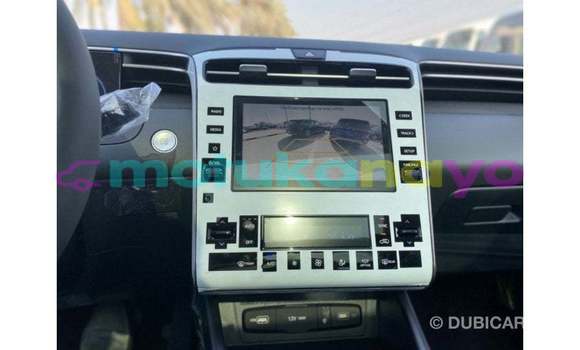Buy Import Hyundai Tucson Other Car in Import - Dubai in Bandundu Buy Import Hyundai Tucson Other Car in Import - Dubai in Bandundu