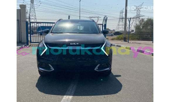 Buy Import Kia Sportage Black Car in Import - Dubai in Bandundu Buy Import Kia Sportage Black Car in Import - Dubai in Bandundu