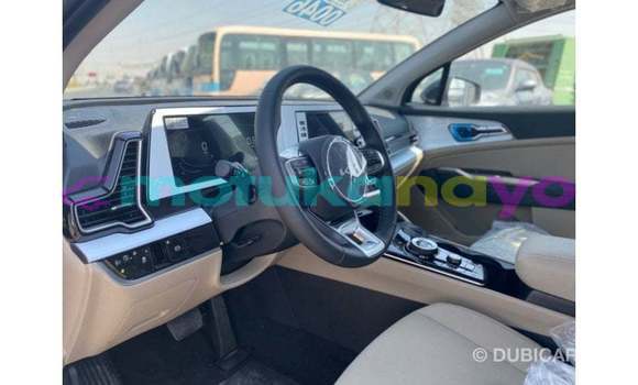 Buy Import Kia Sportage Black Car in Import - Dubai in Bandundu Buy Import Kia Sportage Black Car in Import - Dubai in Bandundu