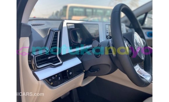 Buy Import Kia Sportage Black Car in Import - Dubai in Bandundu Buy Import Kia Sportage Black Car in Import - Dubai in Bandundu