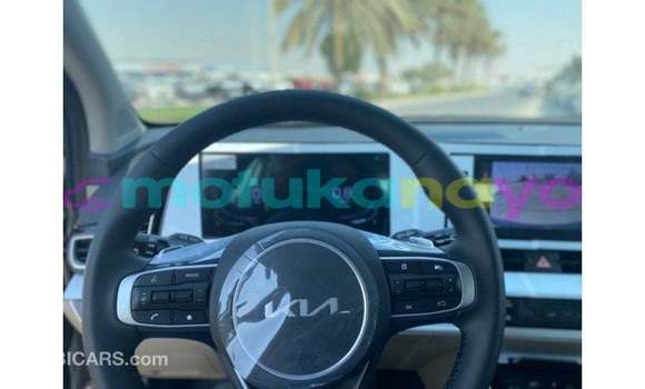 Buy Import Kia Sportage Black Car in Import - Dubai in Bandundu Buy Import Kia Sportage Black Car in Import - Dubai in Bandundu