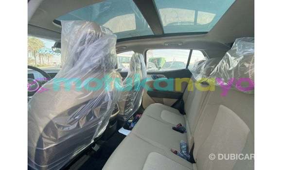 Buy Import Kia Sportage Black Car in Import - Dubai in Bandundu Buy Import Kia Sportage Black Car in Import - Dubai in Bandundu