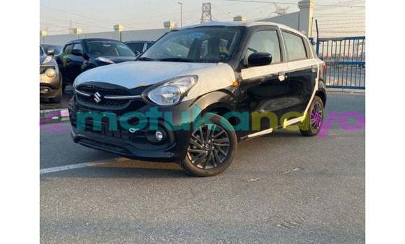 Buy Import Suzuki Celerio Black Car in Import - Dubai in Bandundu Buy Import Suzuki Celerio Black Car in Import - Dubai in Bandundu