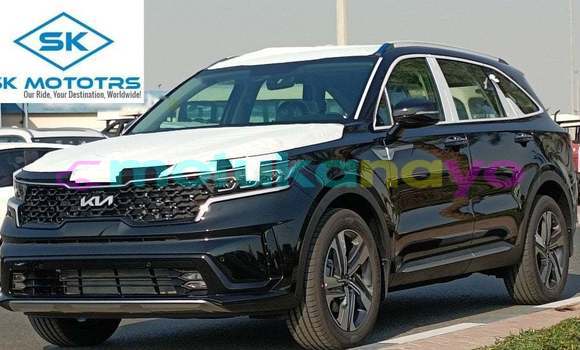 Acheter Import Voiture Kia Sorento Noir à Import - Dubai, Bandundu