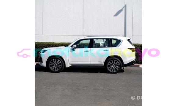 Buy Import Lexus LX White Car in Import - Dubai in Bandundu Buy Import Lexus LX White Car in Import - Dubai in Bandundu