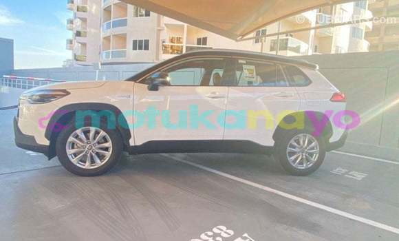 Buy Import Toyota Corolla White Car in Import - Dubai in Bandundu Buy Import Toyota Corolla White Car in Import - Dubai in Bandundu