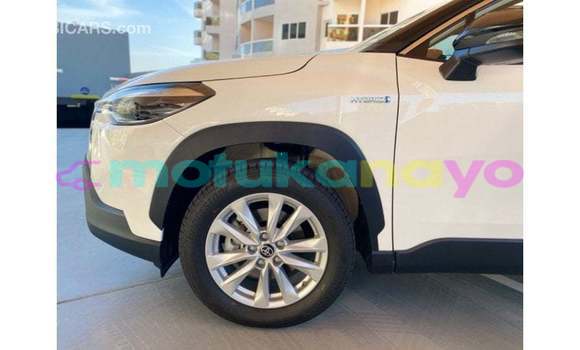 Buy Import Toyota Corolla White Car in Import - Dubai in Bandundu Buy Import Toyota Corolla White Car in Import - Dubai in Bandundu