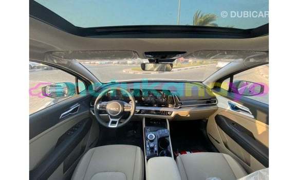 Buy Import Kia Sportage Green Car in Import - Dubai in Bandundu Buy Import Kia Sportage Green Car in Import - Dubai in Bandundu