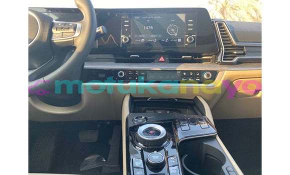 Buy Import Kia Sportage Green Car in Import - Dubai in Bandundu Buy Import Kia Sportage Green Car in Import - Dubai in Bandundu