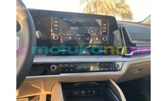 Buy Import Kia Sportage Green Car in Import - Dubai in Bandundu Buy Import Kia Sportage Green Car in Import - Dubai in Bandundu
