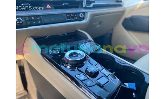 Buy Import Kia Sportage Green Car in Import - Dubai in Bandundu Buy Import Kia Sportage Green Car in Import - Dubai in Bandundu