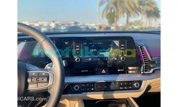 Buy Import Kia Sportage Green Car in Import - Dubai in Bandundu Buy Import Kia Sportage Green Car in Import - Dubai in Bandundu