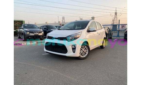 Buy Import Kia Picanto White Car in Import - Dubai in Bandundu Buy Import Kia Picanto White Car in Import - Dubai in Bandundu