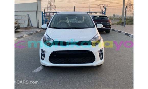 Buy Import Kia Picanto White Car in Import - Dubai in Bandundu Buy Import Kia Picanto White Car in Import - Dubai in Bandundu