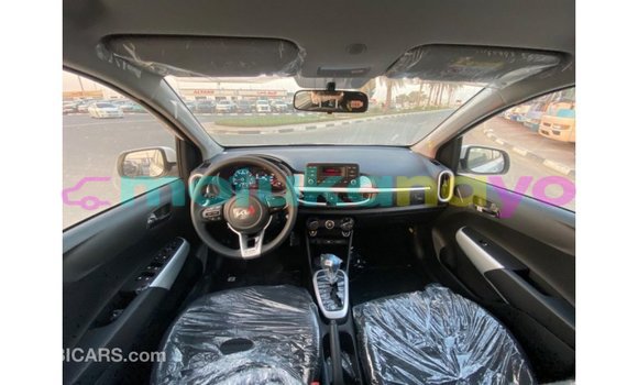 Buy Import Kia Picanto White Car in Import - Dubai in Bandundu Buy Import Kia Picanto White Car in Import - Dubai in Bandundu