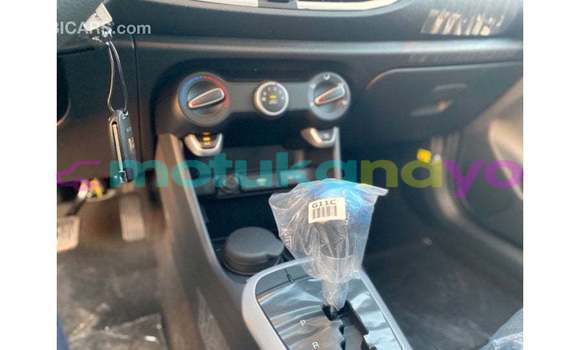 Buy Import Kia Picanto White Car in Import - Dubai in Bandundu Buy Import Kia Picanto White Car in Import - Dubai in Bandundu