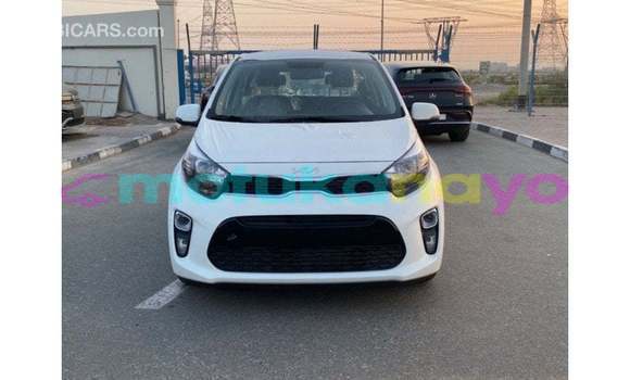 Buy Import Kia Picanto White Car in Import - Dubai in Bandundu Buy Import Kia Picanto White Car in Import - Dubai in Bandundu