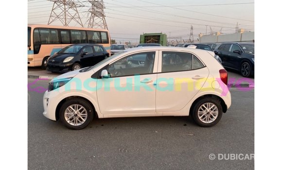 Buy Import Kia Picanto White Car in Import - Dubai in Bandundu Buy Import Kia Picanto White Car in Import - Dubai in Bandundu