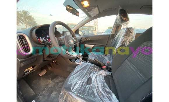 Buy Import Kia Picanto White Car in Import - Dubai in Bandundu Buy Import Kia Picanto White Car in Import - Dubai in Bandundu