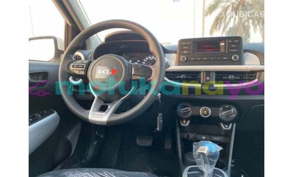 Buy Import Kia Picanto White Car in Import - Dubai in Bandundu Buy Import Kia Picanto White Car in Import - Dubai in Bandundu