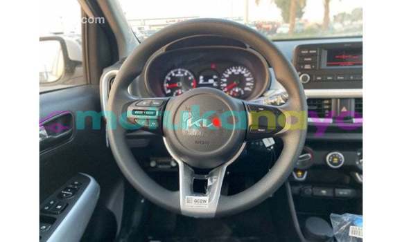 Buy Import Kia Picanto White Car in Import - Dubai in Bandundu Buy Import Kia Picanto White Car in Import - Dubai in Bandundu