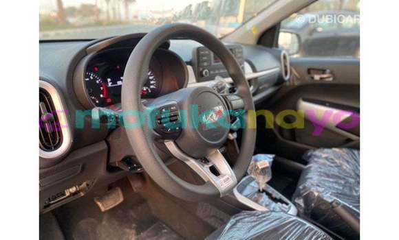 Buy Import Kia Picanto White Car in Import - Dubai in Bandundu Buy Import Kia Picanto White Car in Import - Dubai in Bandundu