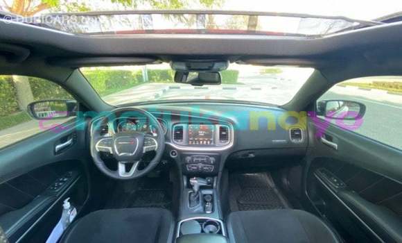 Buy Import Dodge Charger Other Car in Import - Dubai in Bandundu Buy Import Dodge Charger Other Car in Import - Dubai in Bandundu